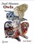 Small Mountain Owls by Scott Rashid (English) Hardcover Book Free Shipping!