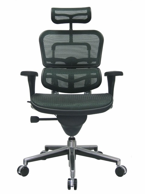 Eurotech Ergohuman Mesh Multifunction High Back Executive Chair New Ergohuman Chair W Headrest Mesh By Eurotech