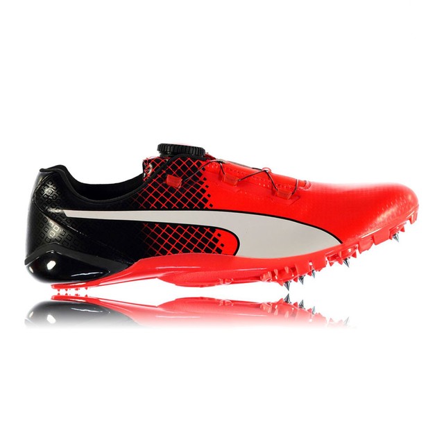 puma evospeed disc puma evospeed disc