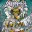 Skeletonwitch-Beyond the Permafrost CD NEU