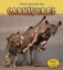 NEW Carnivores (What Animals Eat) by James Benefield