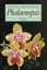 Phalaenopsis, Olaf Gruß