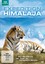 Expedition Tiger - Expedition Himalaya, 1 DVD