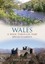 Wales: A Walk Through Time - Brecon to Harlech by Brian E. Davis (Paperback,...