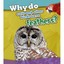Why Do Owls and Other Birds Have Feathers? (Read and Le - Paperback NEW Holly Be