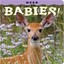 Deer Babies - Board book NEW Jones, Donald M 2013-05-24