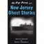 The Big Book of New Jersey Ghost Stories - Hardcover NEW Patricia A. Mar 2013-04