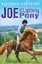 Joe and the Lightning Pony: A Boy and His Horses by Victoria Eveleigh...