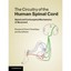 The Circuitry of the Human Spinal Cord: Spinal and Corticospinal Mechanisms of M
