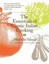 The Essentials of Classic Italian Cooking by Marcella Hazan (Hardback, 2011)