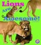 Lions Are Awesome! (Awesome African Animals) - Library Binding NEW Lisa J. Amstu