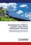 Development of Micro-Inverter using Phase Modulated Converte ... 9783659002090
