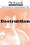 Pop und Destruktion, Taschenbuch