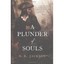 A Plunder of Souls Jackson, D. B.