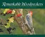 Remarkable Woodpeckers: Incredible Images and Characteristics by Stan Tekiela...