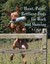 Hunt-Point-Retrieve Dogs for Work and Showing-NEW-9781847970824 by Dear, Nigel