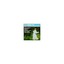 Franck: Symphony in D / Rachmaninoff: Symphony No. 2 Audio CD