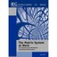 The Matrix System at Work: An Evaluation of the World B - Paperback NEW The Worl