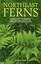 Northeast Ferns: A Field Guide to the Ferns and Fern Relatives of the Northeaste