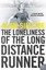 The Loneliness of the Long Distance Runner (Harper Perennial Modern Classics)