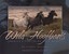 Wild Hoofbeats: America's Vanishing Wild Horses by Carol Walker.
