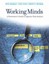 Working Minds: A Practitioner's Guide to Cognitive Task Analysis (Working Minds)