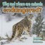 Why and Where Are Animals Endangered? (All about Animal - Hardcover NEW Bobbie K