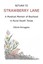 Return to Strawberry Lane: A Mystical Memoir of Boyhood in Rural South Texas