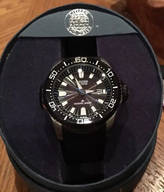 citizen eco drive divers 300m