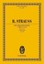 Strauss, Richard: Ein Heldenleben, Taschenbuch