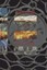 NEW Honor Y Gloria by E. Gamboa Hernandez BOOK (Paperback) Free P&H