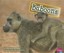 Baboons - Library Binding NEW Mccarthy, Cecil 2013-01