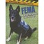 Fema: Prepare, Respond, and Recover Mooney, Carla