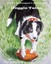 NEW Doggie Tales by Mr Joe L Blevins BOOK (Paperback / softback) Free P&H