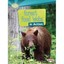 Forest Food Webs in Action - Paperback NEW Paul Fleisher 2015-02-17