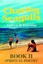 NEW Chasing Seagulls by Andrew D Everstine BOOK (Paperback / softback) Free P&H