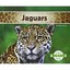 Jaguars (Abdo Kids: Big Cats) - Library Binding NEW Claire Archer(A 2014-09