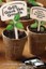 God Gave the Growth : Church Planting in the Episcopal Church, Paperback by S...