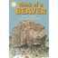 Think of a Beaver (Read and Discover) Karen Wallace