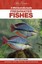 NEW Freshwater Fishes By Gunther Schmida Not Supplied By Publisher Free Shipping