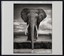 Nick Brandt: On This Earth, a Shadow Falls by Nick Brandt.