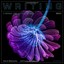 Writing: A Manual for the Digital Age Blakesley, David/ Hoogeveen, Jeffrey L.