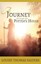 A Journey Through the Potter's House by Louise Thomas Salters (Paperback /...