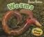 Worms by Sian Smith (Paperback / softback, 2012)