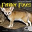 Fennec Foxes - Library Binding NEW Kristin Petrie 2010-01