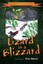 NEW Lizard in a Blizzard (The Lezard Family Chronicles) (Volume 1)