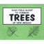 Easy Field Guide to Common Trees of New Mexico - Perfect Paperback NEW Sharon Ne