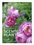 Royal Horticultural Society Companion to Scented Plants by Stephen Lacey.