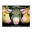 NEW The Three Pigs By David Wiesner Hardcover Free Shipping