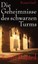 NEU + OVP: Die Geheimnisse des schwarzen Turms - Ein Roman aus dem Paris des Jah